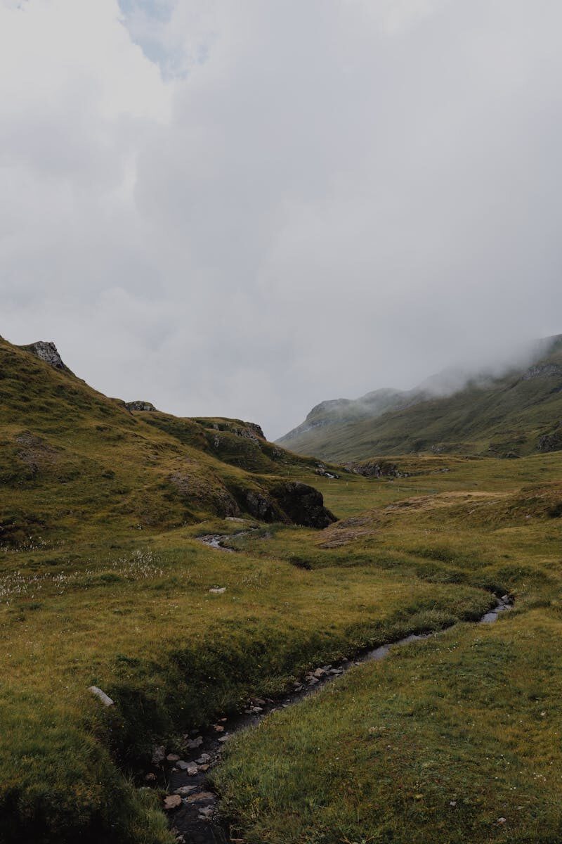 Housing Law & Disputes