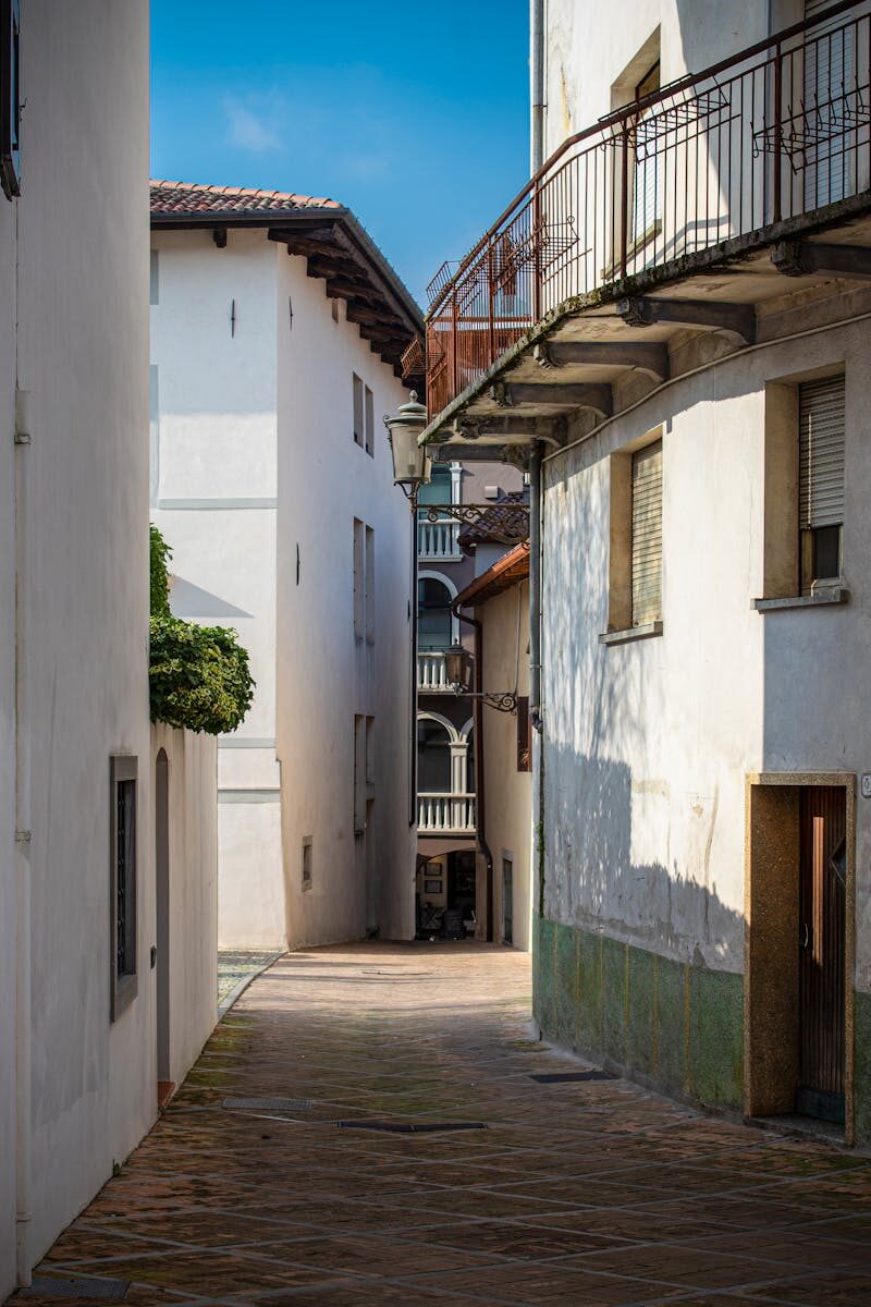 Media & Digital Rights